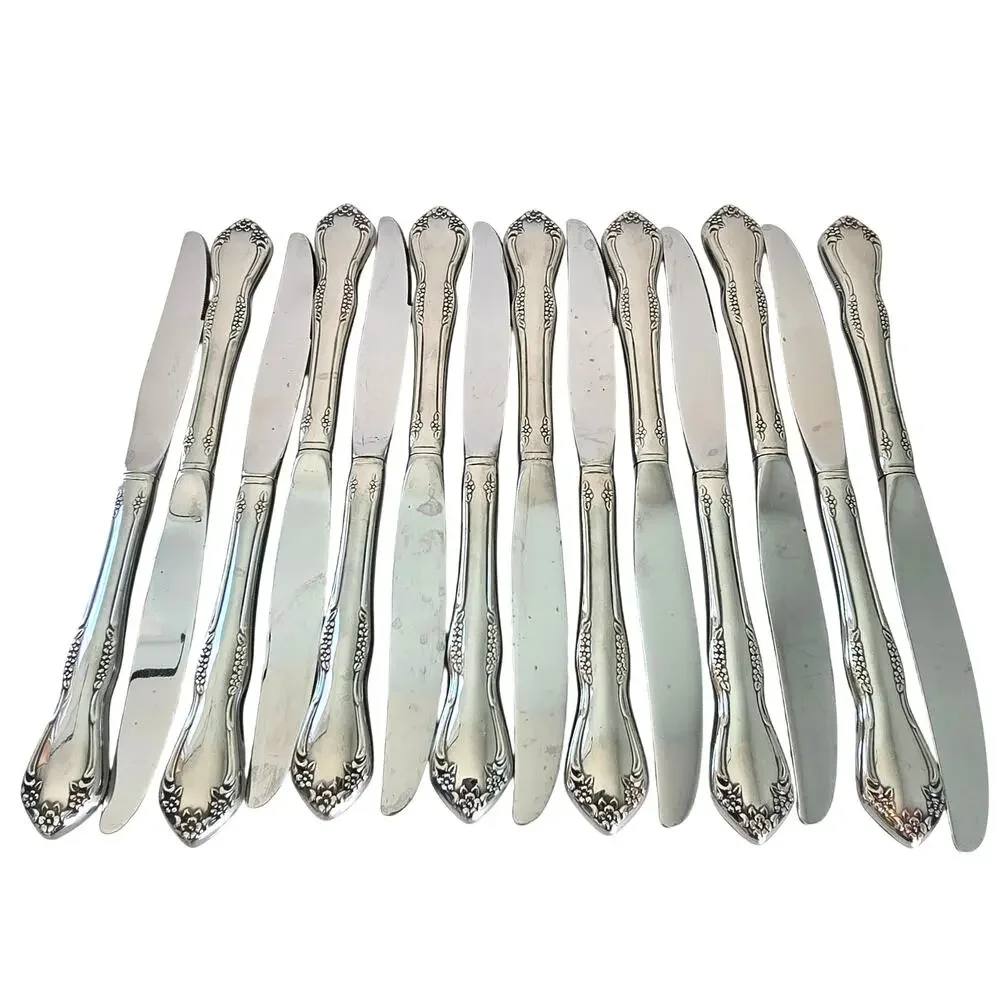 Oneida Mansfield Amadeus Set of 14 Dinner Knives Stainless WM Rogers Deluxe
